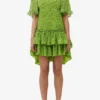 Chiffon Mini Dress