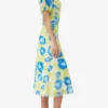 Printed Mesh Puff Sleeve Midi Dress