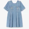 Striped Denim Pleated Dress