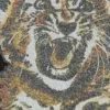 T-shirt with Tiger